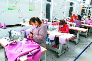 丹陽聯(lián)村黨委實踐 圍繞主導(dǎo)產(chǎn)業(yè)發(fā)展集體經(jīng)濟，提升農(nóng)副產(chǎn)品競爭力