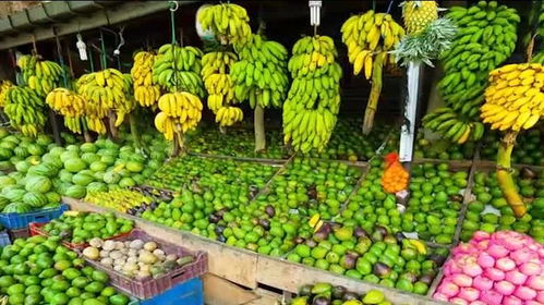 韓國農(nóng)副產(chǎn)品的價格現(xiàn)狀