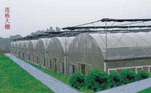 龍巖溫室大棚 科技賦能農(nóng)副產(chǎn)品，世界工廠網(wǎng)助力產(chǎn)業(yè)騰飛