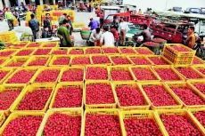 探尋國內(nèi)大型水果批發(fā)市場(chǎng) 分布、特色與交通指南